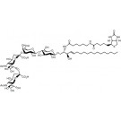 N-Hexanoyl-biotin-disialoganglioside GD3