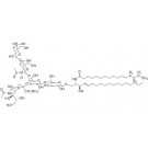 N-Hexadecanoyl-D9(13,13,14,14,15,15,16,16,16)-monosialoganglioside GM1