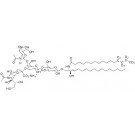 N-Hexadecanoyl-D9(13,13,14,14,15,15,16,16,16)-monosialoganglioside GM2