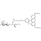 Lissamine-rhodamine B-dodecanoyl-galactosylceramide