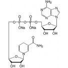 Nicotinamide adenine dinucleotide reduced-Na2-salt research grade