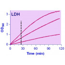 QuantiChrom™ Lactate Dehydrogenase Kit