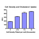 QuantiFluo™ Cholesterol Uptake Assay Kit