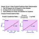 QuantiChrom™ Protein Creatinine Ratio Assay Kit