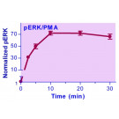 EnzyFluo™ ERK Phosphorylation Assay Kit