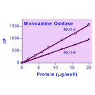 EnzyChrom™ Monoamine Oxidase Assay Kit